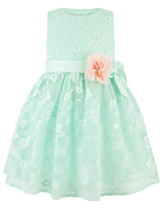 Baby Sylvie Floral Embroidered Occasion ...